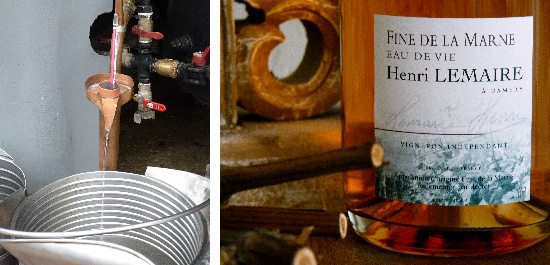 Photo bouteille fine de la Marne