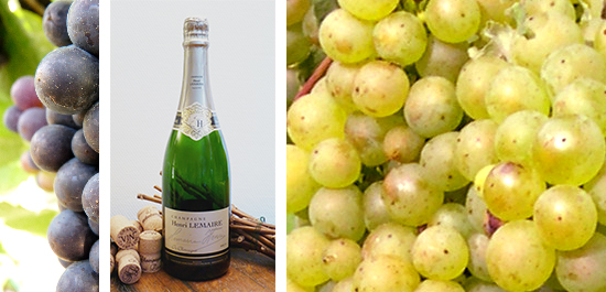 Photo bouteille cuvee or classique